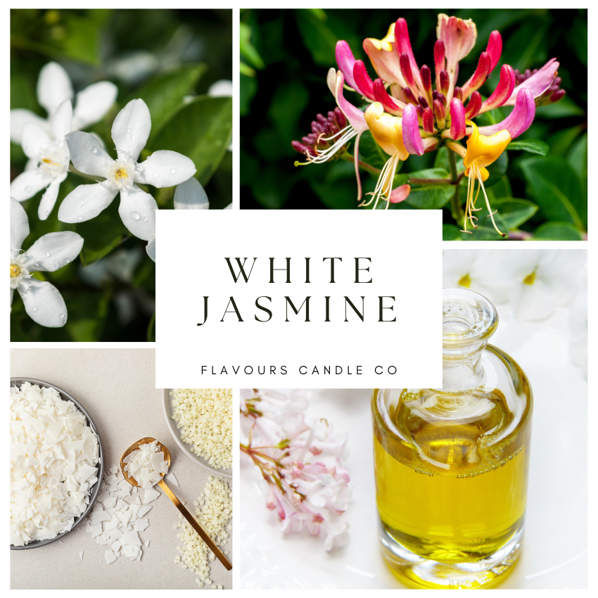 White Jasmine